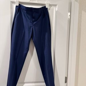 Banana Republic Blue Ankle Cropped Pants